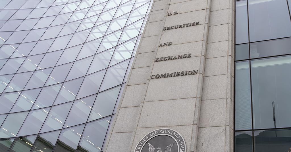 SEC chief accountant eyeing auditor use of network member firms