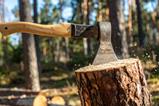 AdobeStock_1485628943
