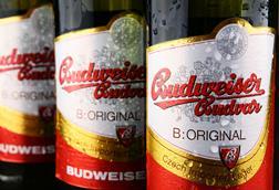 Budweiser Budvar_web