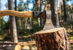 AdobeStock_1485628943