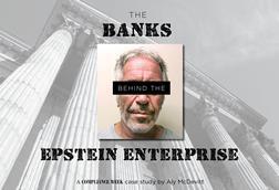 Epstein case study cover 3x2