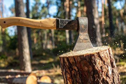 AdobeStock_1485628943