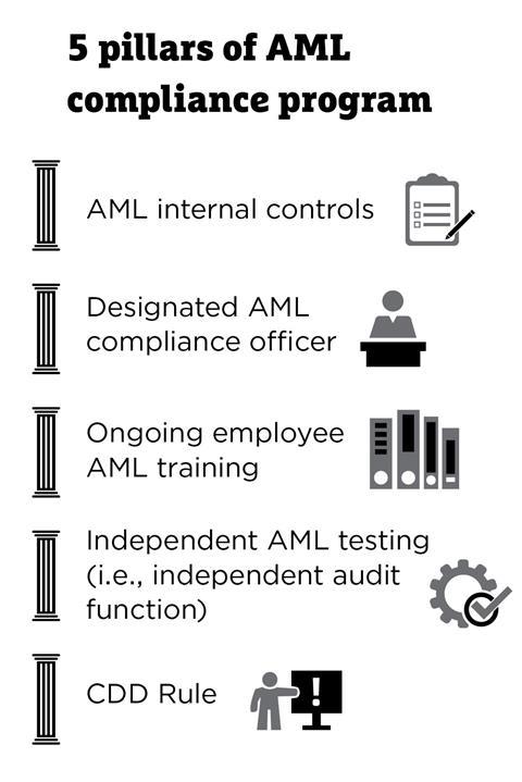 Epstein graphic 5 AML pillars